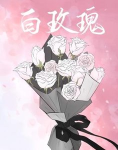 白玫瑰