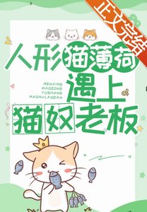 人形猫薄荷遇上猫奴老板