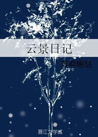云景日记